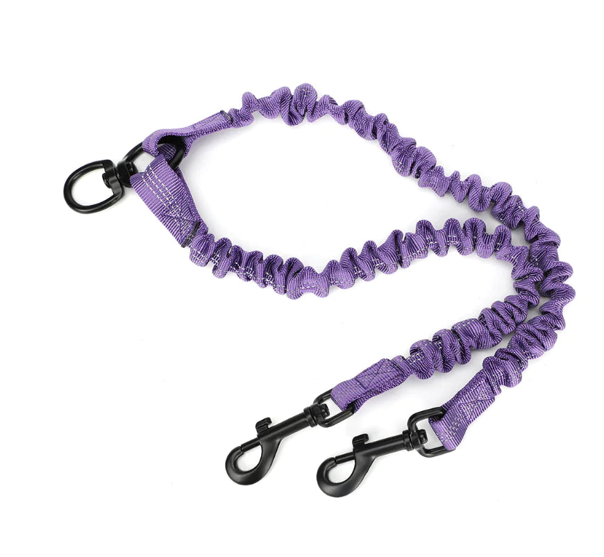 Double-End Pet Leash for One or Two Dogs