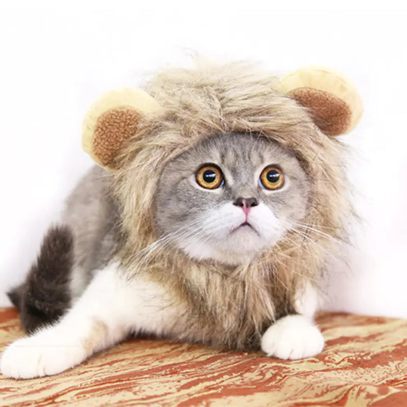 Funny Lion Mane Hat for Cats and Kittens