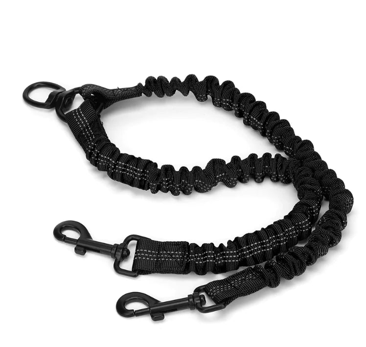 Double-End Pet Leash for One or Two Dogs