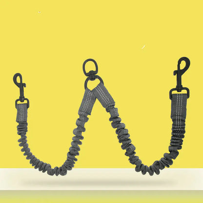 Double-End Pet Leash for One or Two Dogs