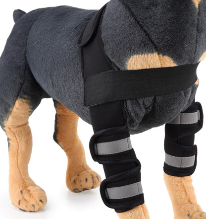 Dog Knee Brace and Leg Protector for Injury Recovery