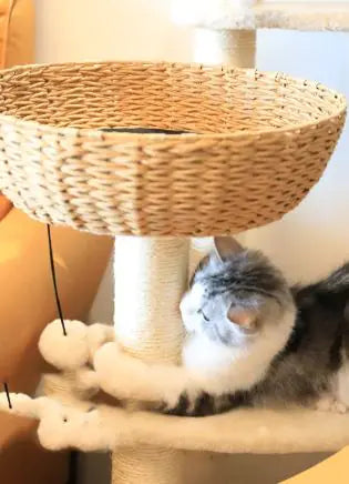 Cattail Cat Tree Tower
